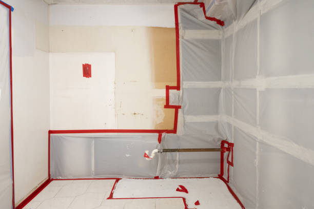 Environmental Consulting for Mold Prevention in Avonia, PA